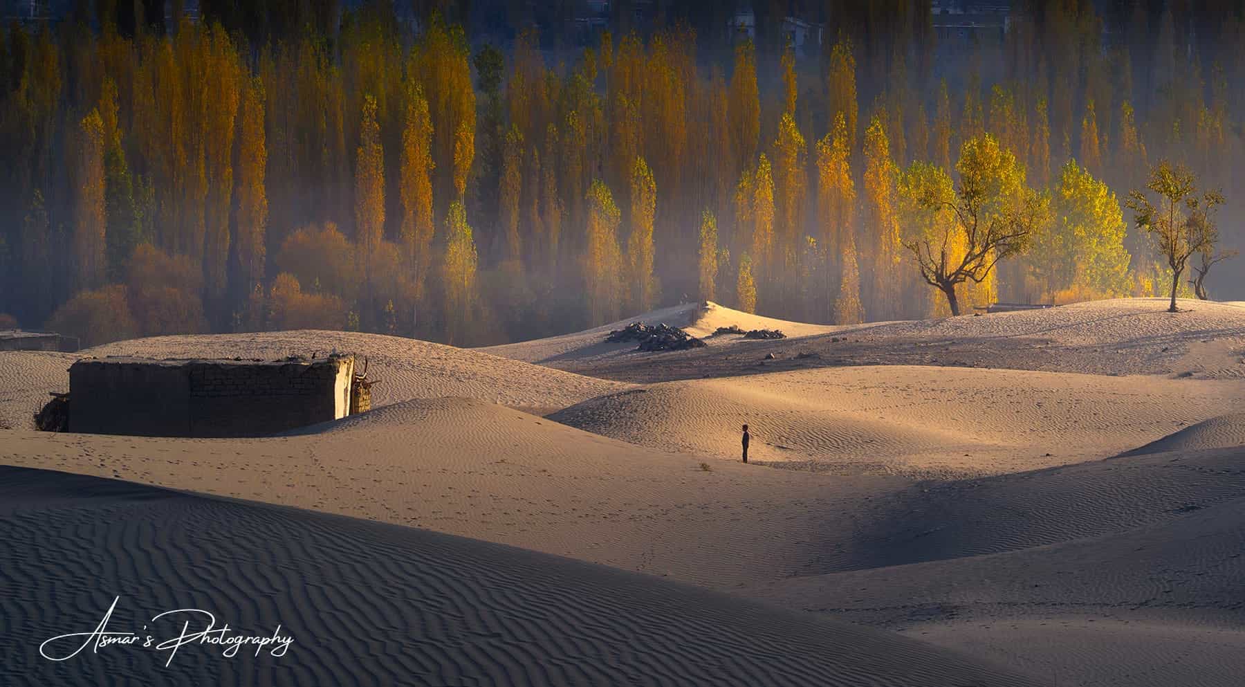 Autumn at Katpana, Skardu