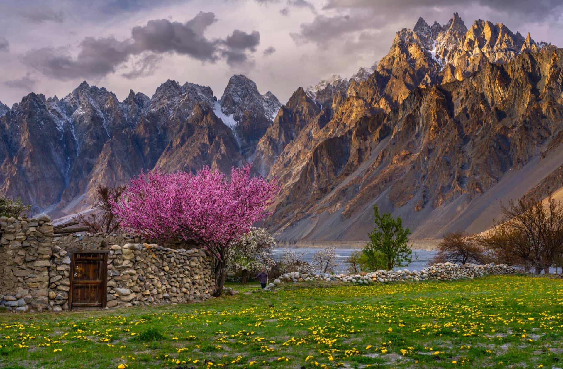 Spring Blossoms, Passu — Hunza