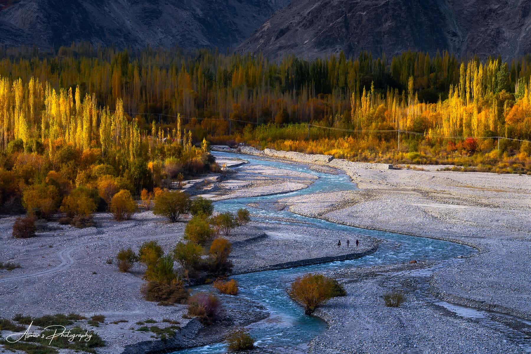 Daghoni