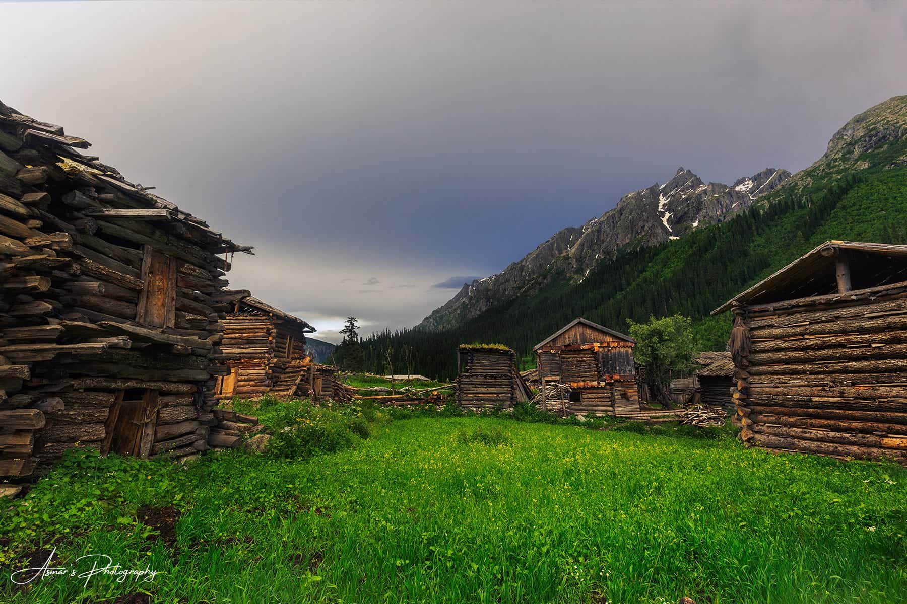 Minimarg Meadows