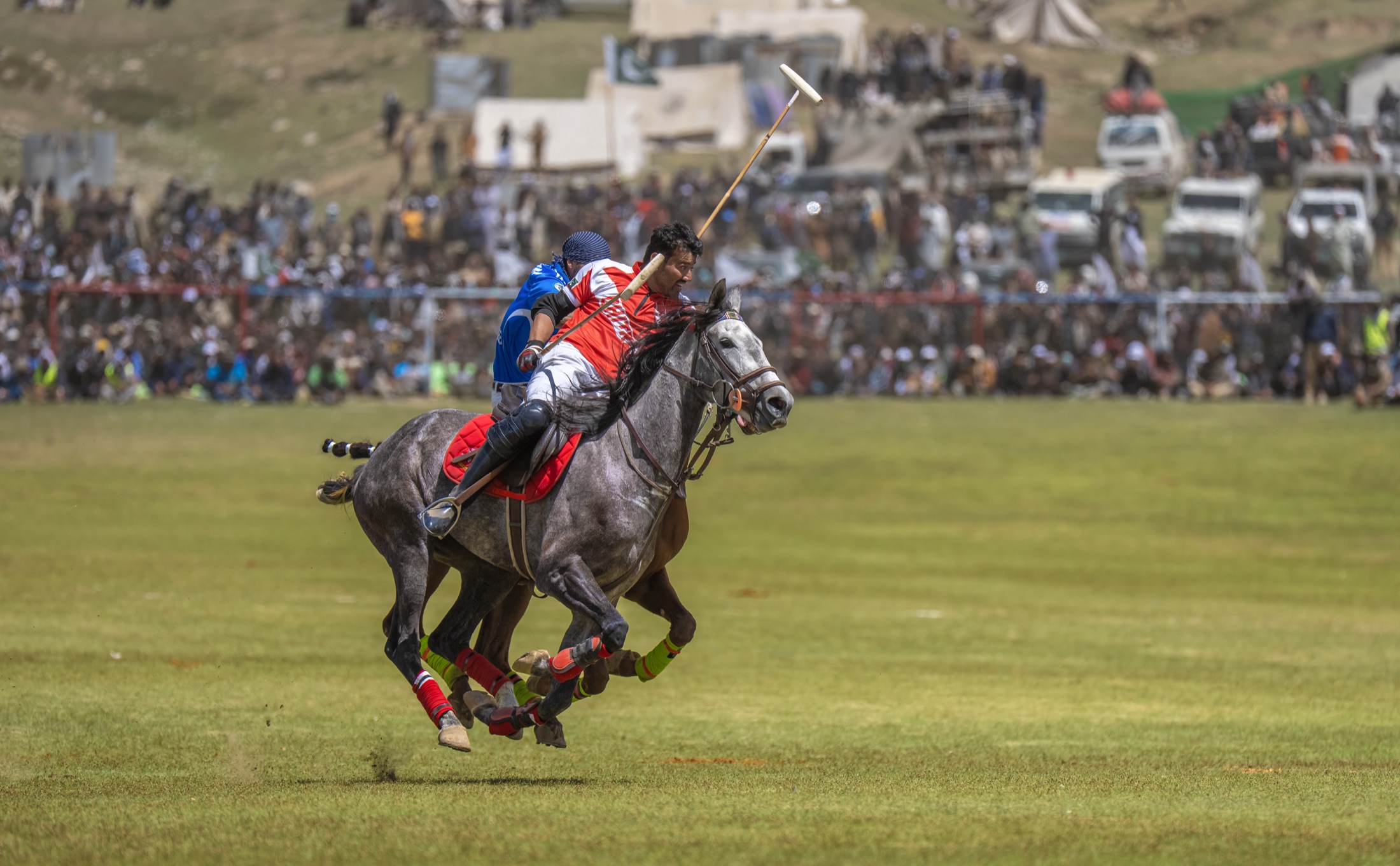 Shandur Polo Festival